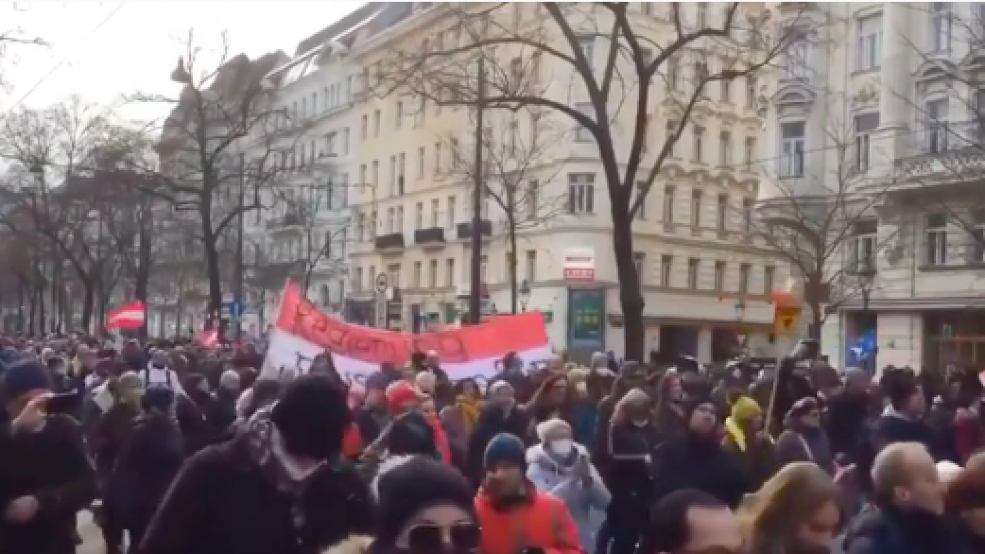 Демонстрация в Вене. Митинг в Вене. Вена демонстрация против климатической политики. Демонстрация в Вене против климатической политики Австрии.