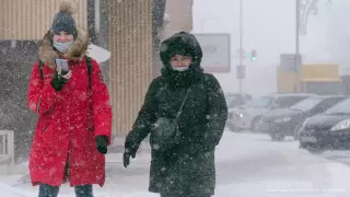 Снижение числа заразившихся COVID-19 зафиксировано в Казахстане