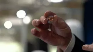 Илон Маск маймылға чип салды. Ендігі кезек адамдар ма?