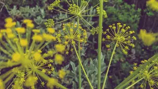 Новый препарат против COVID-19 нашли ученые в Великобритании