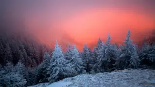 Штормовое предупреждение объявили в Нур-Султане и 10 областях