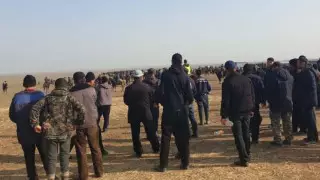 Кокпар на 500 человек устроили в Туркестанской области