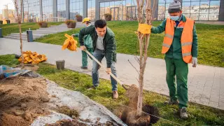 Токаев предложил свое видение празднования Наурыза