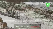 "Уничтожили 5 тысяч деревьев": подрядчик рассказал о вырубке в Алматы