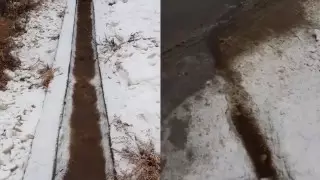 Конюшня сливала нечистоты на улицу близ Алматы