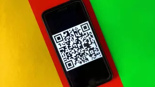 Разделение по цветам и пропуск по QR-коду: Цой обратился к казахстанцам