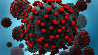 Все частицы COVID-19 в мире поместятся в банку колы - ученый