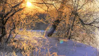 Тепло придет в Казахстан на выходных