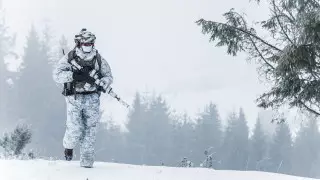 Дания увеличила расходы на военное присутствие в Арктике