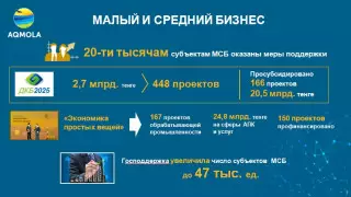 Ермек Маржикпаев рассказал о поддержке бизнеса в период пандемии