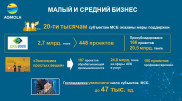 Ермек Маржикпаев рассказал о поддержке бизнеса в период пандемии