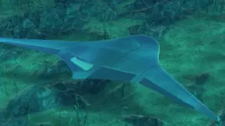 Подводный беспилотник разрабатывают в США