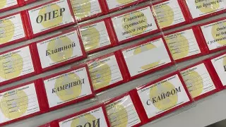 Ректор заступился за студентов, заподозренных в подделке полицейских удостоверений