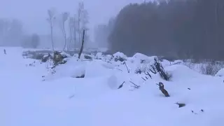 Мать вывезла детей в лес, раздела догола и оставила умирать на морозе