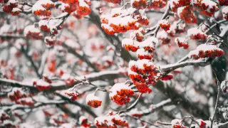 Похолодание ожидается в Казахстане