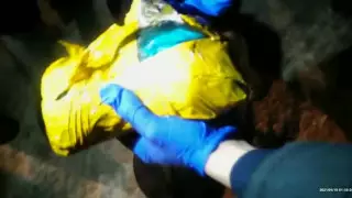 Дизайнерские наркотики нашли у жителя Нур-Султана