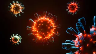 Гибридный штамм коронавируса выявили в США