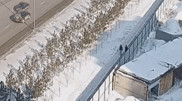 Пенсионера избили и ограбили на улице в Нур-Султане