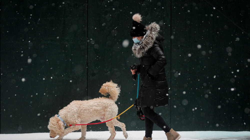 Фото: Reuters