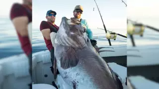 "Это было чудовище". Рыболовы поймали окуня длиной больше человеческого роста