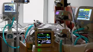 Число жертв COVID-19 в США превысило потери в трех войнах