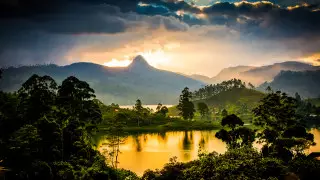 Тропический рай. Что нужно знать туристам про отдых на Шри-Ланке в условиях коронавируса