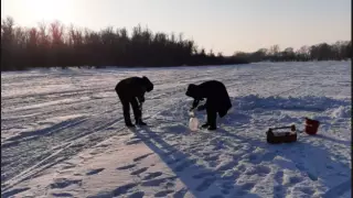 Версию российских экологов об утечке ртути в Иртыш проверили в Павлодарской области