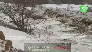 Строительство плотины: подсчитан ущерб от вырубки деревьев в Алматы