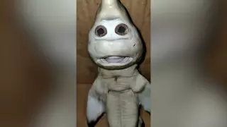 Акулу с "человеческим лицом" выловили в Индонезии