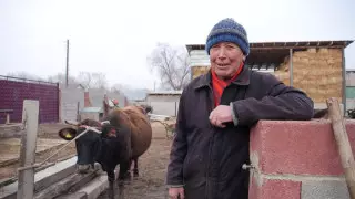 WhatsApp и соседские чаты. Как “Казахтелеком” меняет быт казахстанских сел