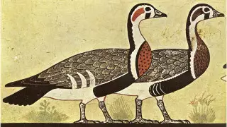 На древнеегипетской картине нашли вымерший вид гусей