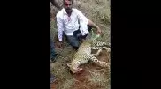 Мужчина убил леопарда голыми руками для спасения жены и дочери