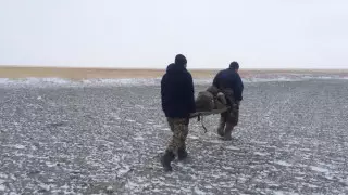 Как себя чувствует найденный спустя неделю пастух, рассказали врачи