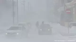 Дождь, снег и метель ожидаются в Казахстане