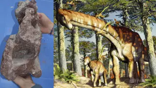 Найден самый древний титанозавр в мире