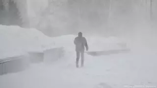 Побит рекорд 1946 года. Каким был аномальный февраль