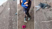 Пьяный водитель сбил маленьких девочек в Алматинской области