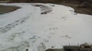 Грязно-зеленой пеной покрылась река в Алматинской области