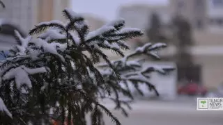 Занятия отменили в школах и колледжах Нур-Султана