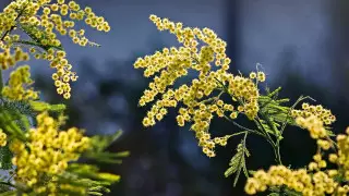 "8 марта вспоминаем женщин, сгоревших на текстильной фабрике"