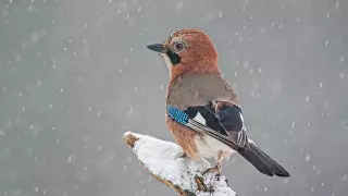 Какой будет погода в Казахстане в выходные дни