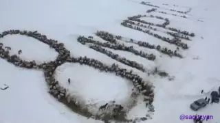 Башкирских женщин поздравили при помощи тысячи лошадей