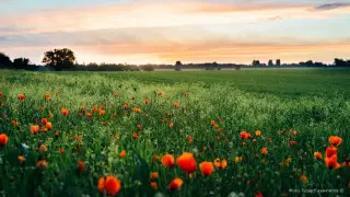 К концу века лето на Земле будет длиться полгода - ученые