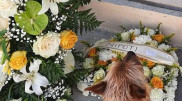 Собака растрогала семью умершего хозяина своей преданностью