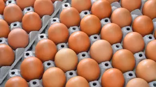 В ценовом сговоре уличили крупных производителей яиц в Казахстане