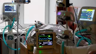 2020 год стал самым смертоносным в истории США - СМИ