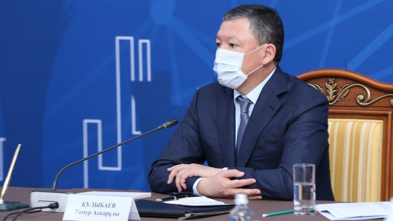 Тимур Кулибаев: Не все захотят добровольно отказаться от "рычагов давления"