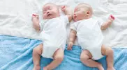 Мир на пике рождаемости близнецов - исследование