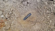 Поисковики ищут родных казахстанского разведчика, убитого в годы ВОВ