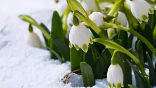 В Казахстане потеплеет: погода на 3 дня